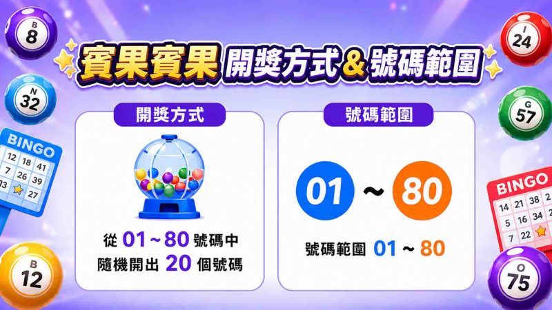 賓果賓果(bingo bingo)