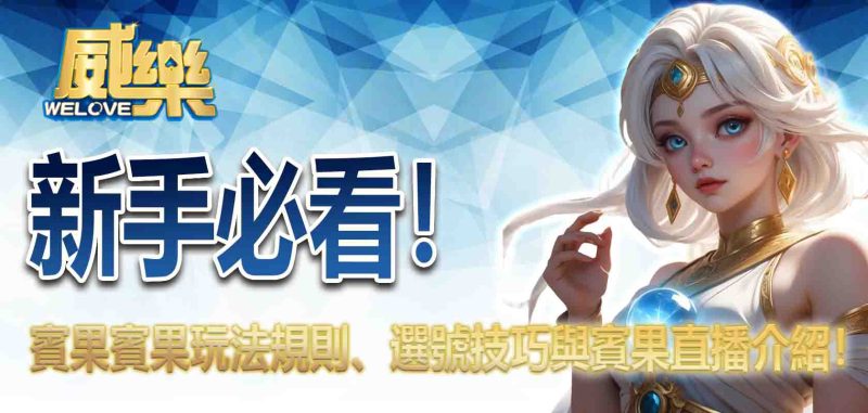 賓果賓果